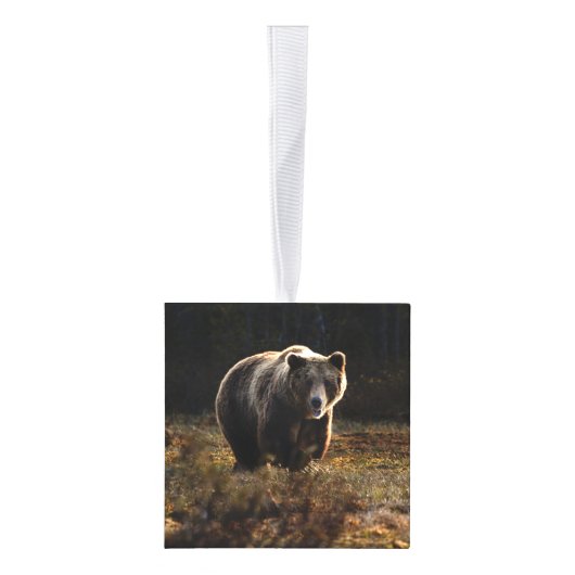 Beer Decoratie (Rechts)