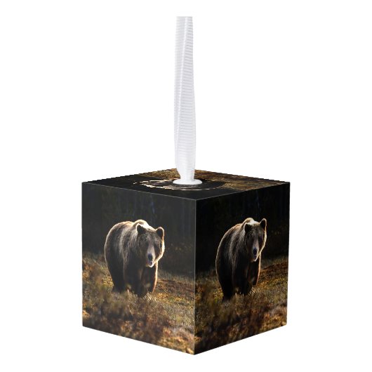 Beer Decoratie (Achter hoekig)