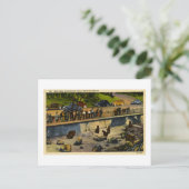 Beer Dens Washington Park Portland Oregon  Briefkaart (Staand voorkant)