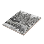 Beer en Baffalo Art Tegel Tegeltje (Zijkant)