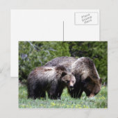 Beer en Briefkaart snijden (Voorkant / Achterkant)