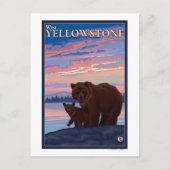 Beer en Cub - West-geelsteen, Montana Briefkaart (Voorkant)