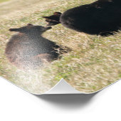 Beer en kubussen foto afdruk (Hoek)