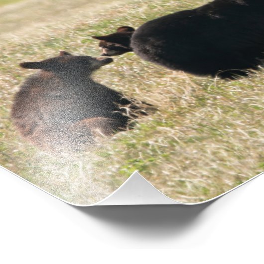 Beer en kubussen foto afdruk (Hoek)