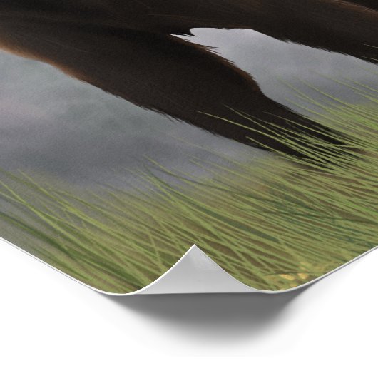 Beer en kubussen poster (Hoek)