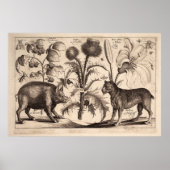 Beer en Mastiff Poster (Voorkant)