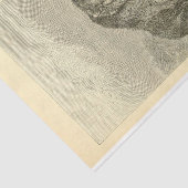  Beer Ephemera-ontkoppeling Tissuepapier (Detail)