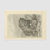  Beer Ephemera-ontkoppeling Tissuepapier (Voorkant)