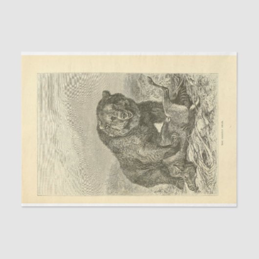  Beer Ephemera-ontkoppeling Tissuepapier (Voorkant)