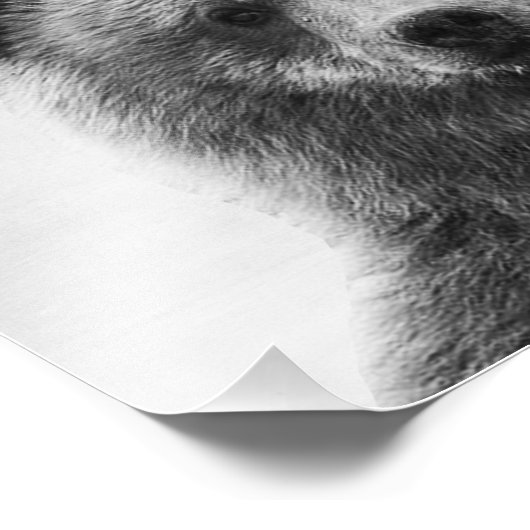 Beer Foto Afdruk (Hoek)