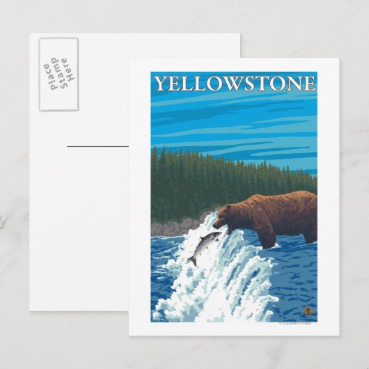Beer Gevist in de rivier - Yellowstone National Briefkaart (Voorkant / Achterkant)