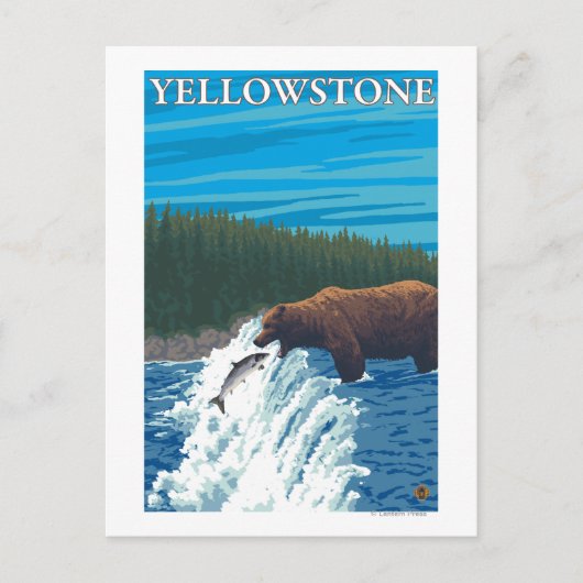 Beer Gevist in de rivier - Yellowstone National Briefkaart (Voorkant)