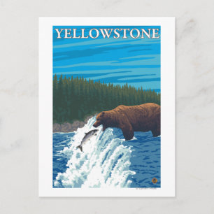 Beer Gevist in de rivier - Yellowstone National Briefkaart