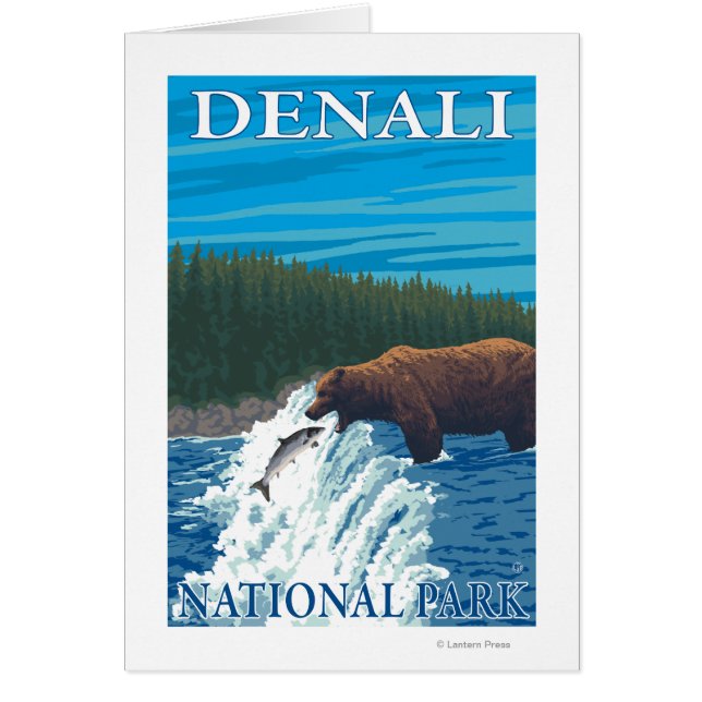 Beer Gevist in het Nationaal Park Denali, (Voorkant)