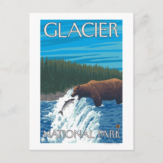 Beer Gevist in het Nationaal Park Glacier, Briefkaart (Voorkant)