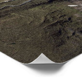 Beer Glacier Alaska Poster (Hoek)