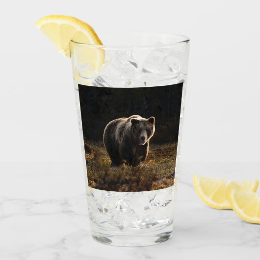 Beer Glas (Voorkant ijs)