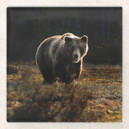 Beer Glazen Onderzetter (Voorkant)