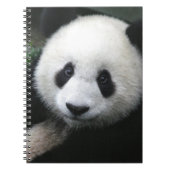 Beer glimlachen notitieboek (Voorkant)