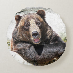 Beer glimlachen rond kussen