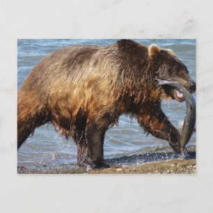 Beer Gone Fishing briefkaart