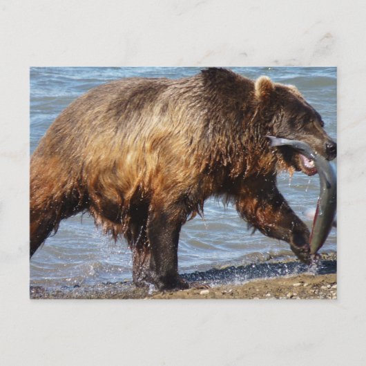 Beer Gone Fishing briefkaart (Voorkant)