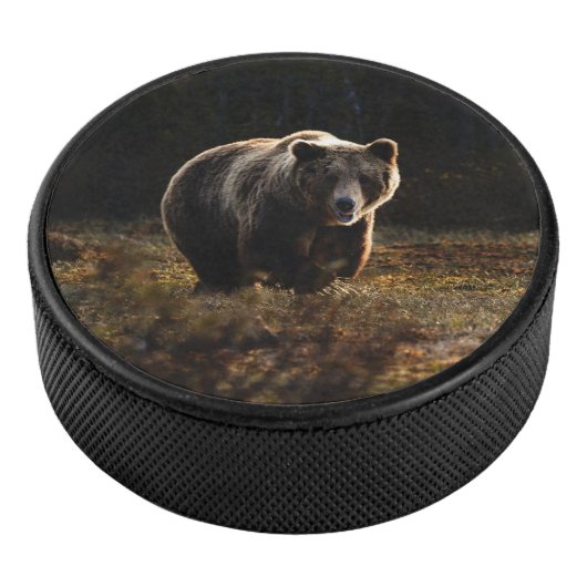 Beer Hockey Puck (3/4)