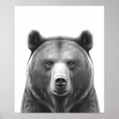 Beer Hoofd portret zwart wit Poster (Voorkant)