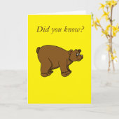 Beer Humor/Joke Kaart (Gele Bloem)