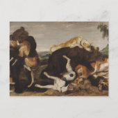 Beer Hunt of, strijd tussen honden en Beren Briefkaart (Voorkant)