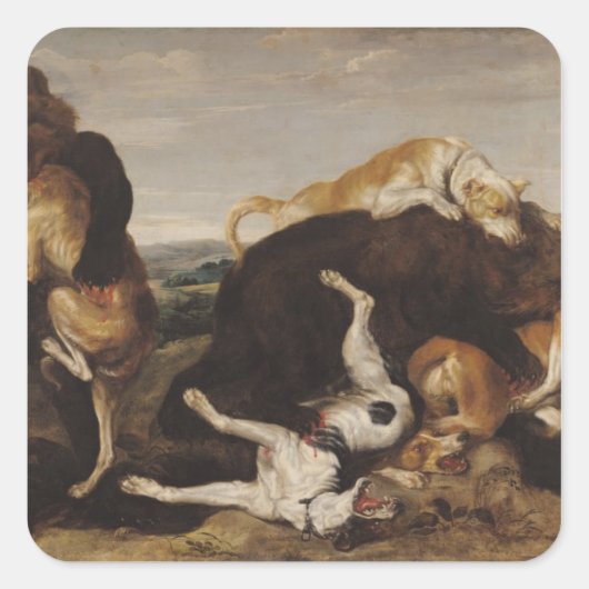 Beer Hunt of, strijd tussen honden en Beren Vierkante Sticker (Voorkant)