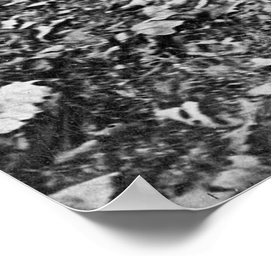 Beer Hunter, 1909 Poster (Hoek)