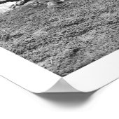 Beer Hunting Alaska 1906 Poster (Hoek)