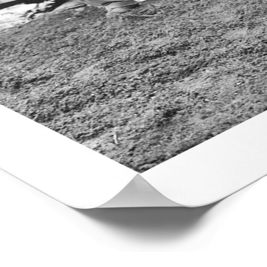 Beer Hunting Alaska 1906 Poster (Hoek)