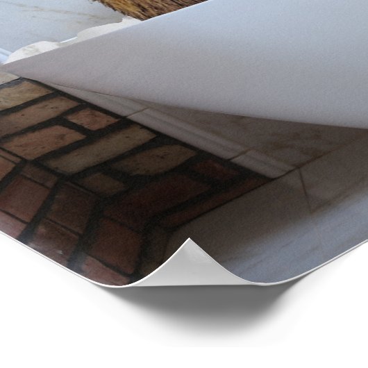 Beer in bad met Bathtub Bubble Poster (Hoek)