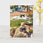 Beer in de Bossen Grappig Wenskaart Kaart (Gele Bloem)