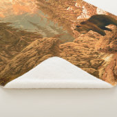 Beer in de Rocky Mountainsbeer, bruin, dierlijk, g Sherpa Deken (3/4)