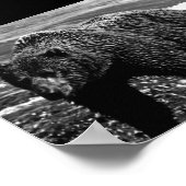  beer in de Verenigde Staten Poster (Hoek)