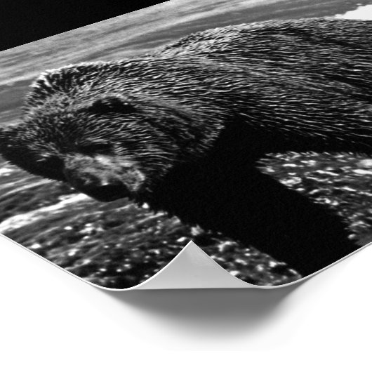  beer in de Verenigde Staten Poster (Hoek)