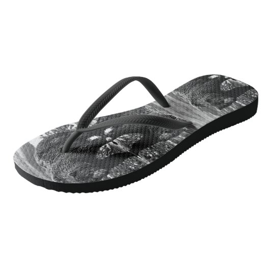  beer in de Verenigde Staten Teenslippers (Schuin)