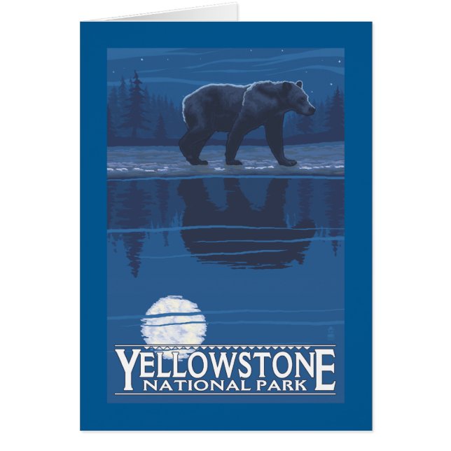 Beer in het Nationaal Park Moonlight - Yellowstone (Voorkant)