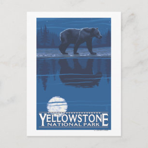 Beer in het Nationaal Park Moonlight - Yellowstone Briefkaart