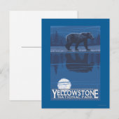 Beer in het Nationaal Park Moonlight - Yellowstone Briefkaart (Voorkant / Achterkant)