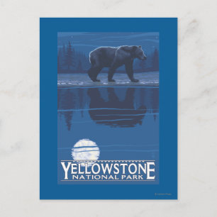 Beer in het Nationaal Park Moonlight - Yellowstone Briefkaart