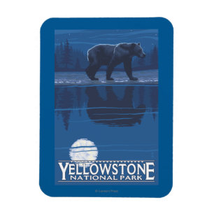 Beer in het Nationaal Park Moonlight - Yellowstone Magneet