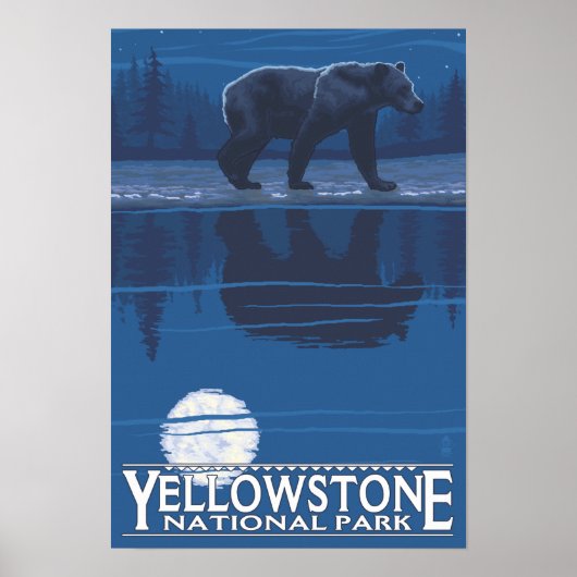 Beer in het Nationaal Park Moonlight - Yellowstone Poster (Voorkant)