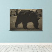 Beer in het nationale wegenpark WY Canvas Afdruk (Insitu (Houten vloer))