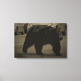 Beer in het nationale wegenpark WY Canvas Afdruk