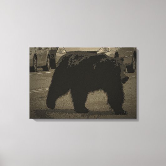 Beer in het nationale wegenpark WY Canvas Afdruk (Voorkant)