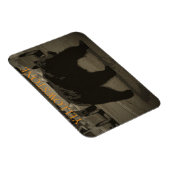 Beer in het nationale wegenpark WY Magneet (Rechterzijde)